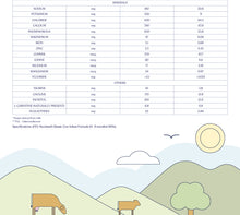 Load image into Gallery viewer, Classic First Infant Milk (0 - 6 months) 800g
