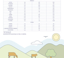 Load image into Gallery viewer, Classic Follow On Milk (6 - 12 months) 800g