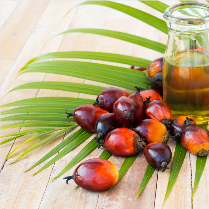 Palm Oil In Baby Milk? Let's Talk About The Effects