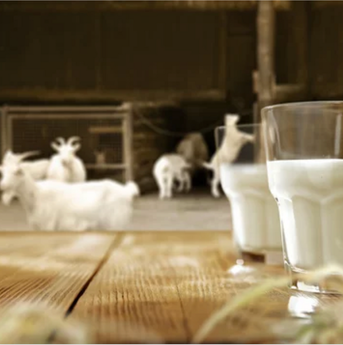 Is Goat's milk right for your baby?